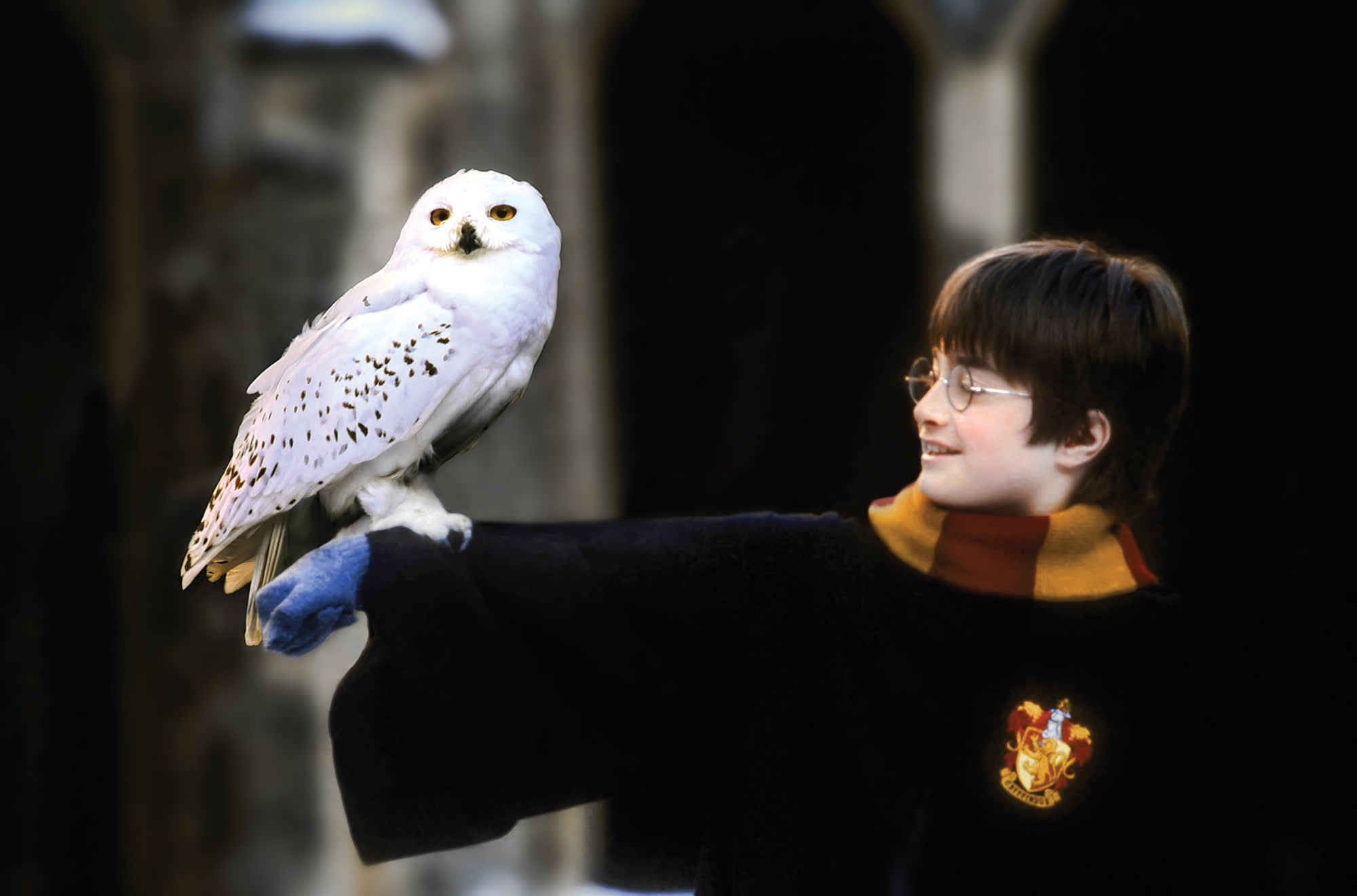 Harry stood outside in his Hogwarts robes and Gryffindor scarf with Hedwig perched on his arm.