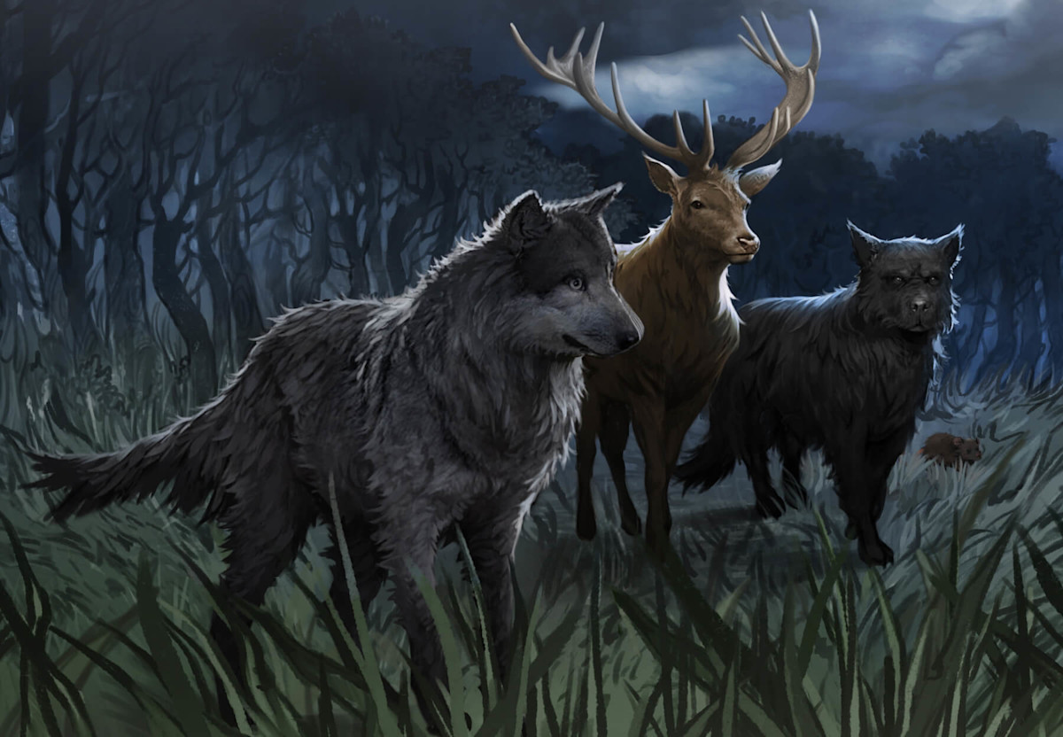 Harry Potter The Marauders Quiz Wizarding World