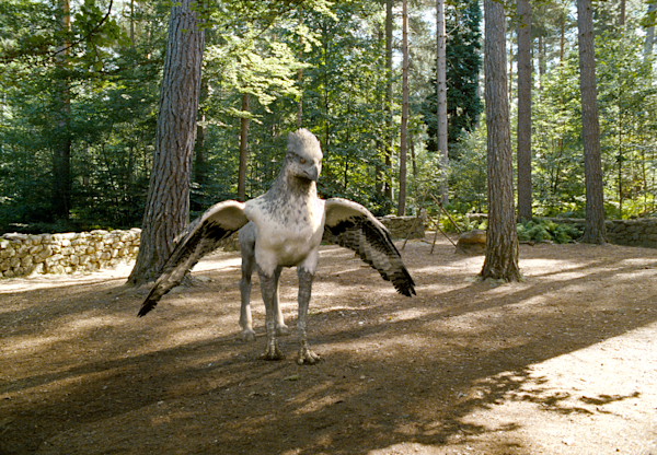 Hippogriff Official Harry Potter Encyclopedia hippogriff-official-harry-potter-encyclopedia