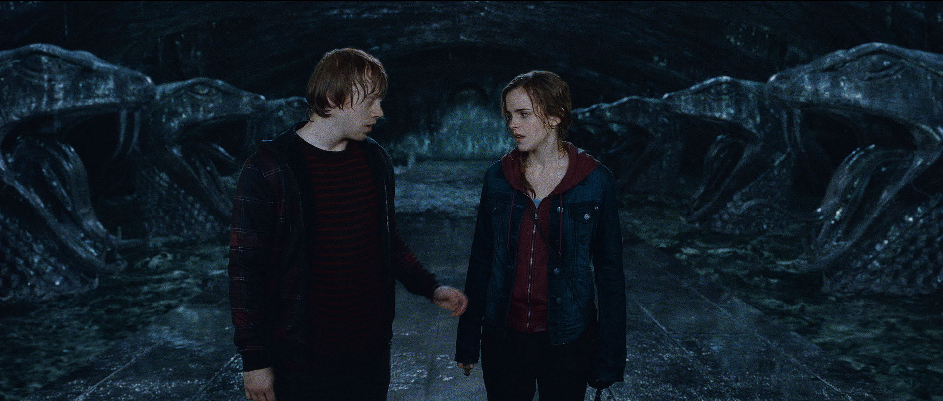 Hermione Granger To Ron Weasley; Fans Recreates How Harry Potter
