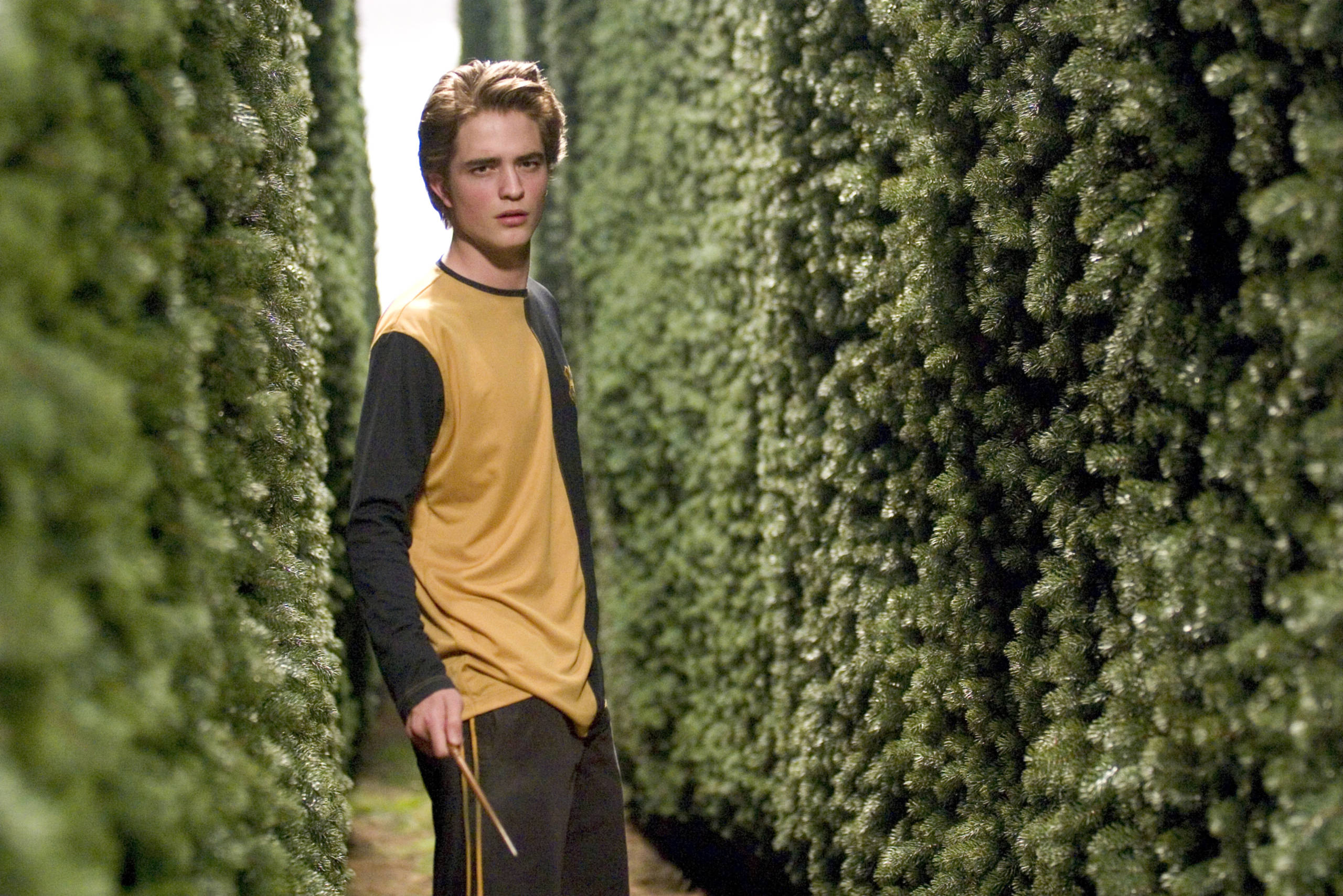 Cedric stands in the maze prepared to take on the horrors that lie within.