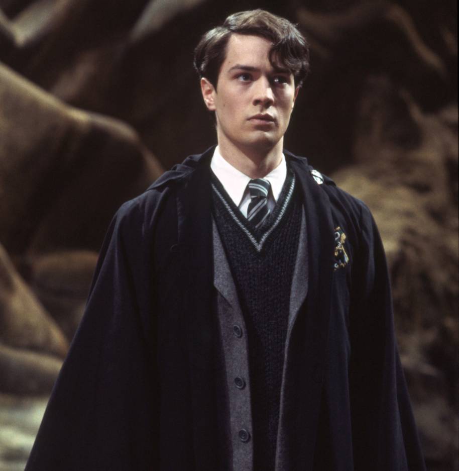 Tom Riddle standing in the Chamber of Secrets 