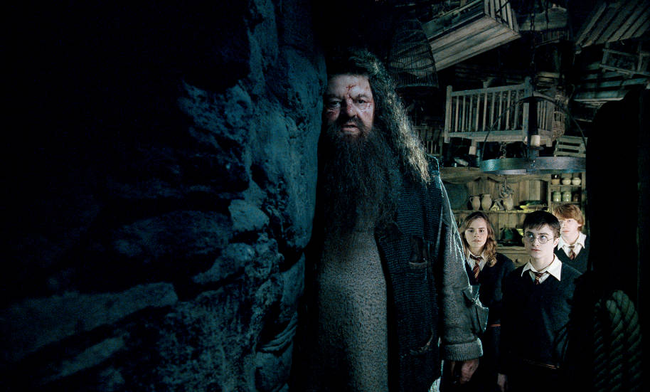 Hagrid protects Harry, Ron and Hermione.