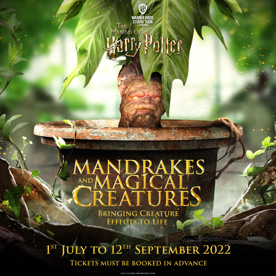 Poster The Mandrake - Herbology