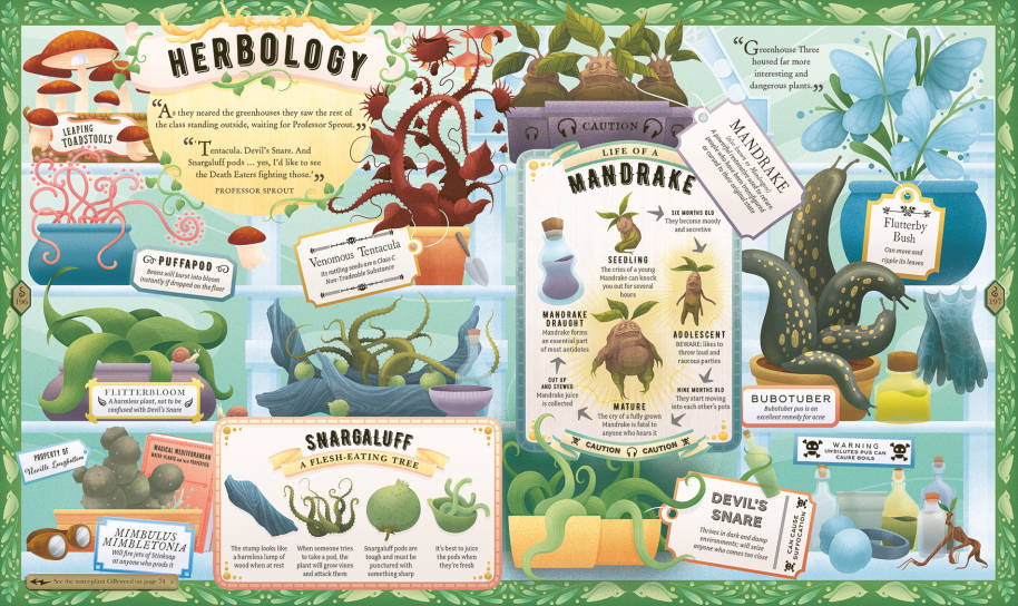 almanac-spread-herbology-landscape