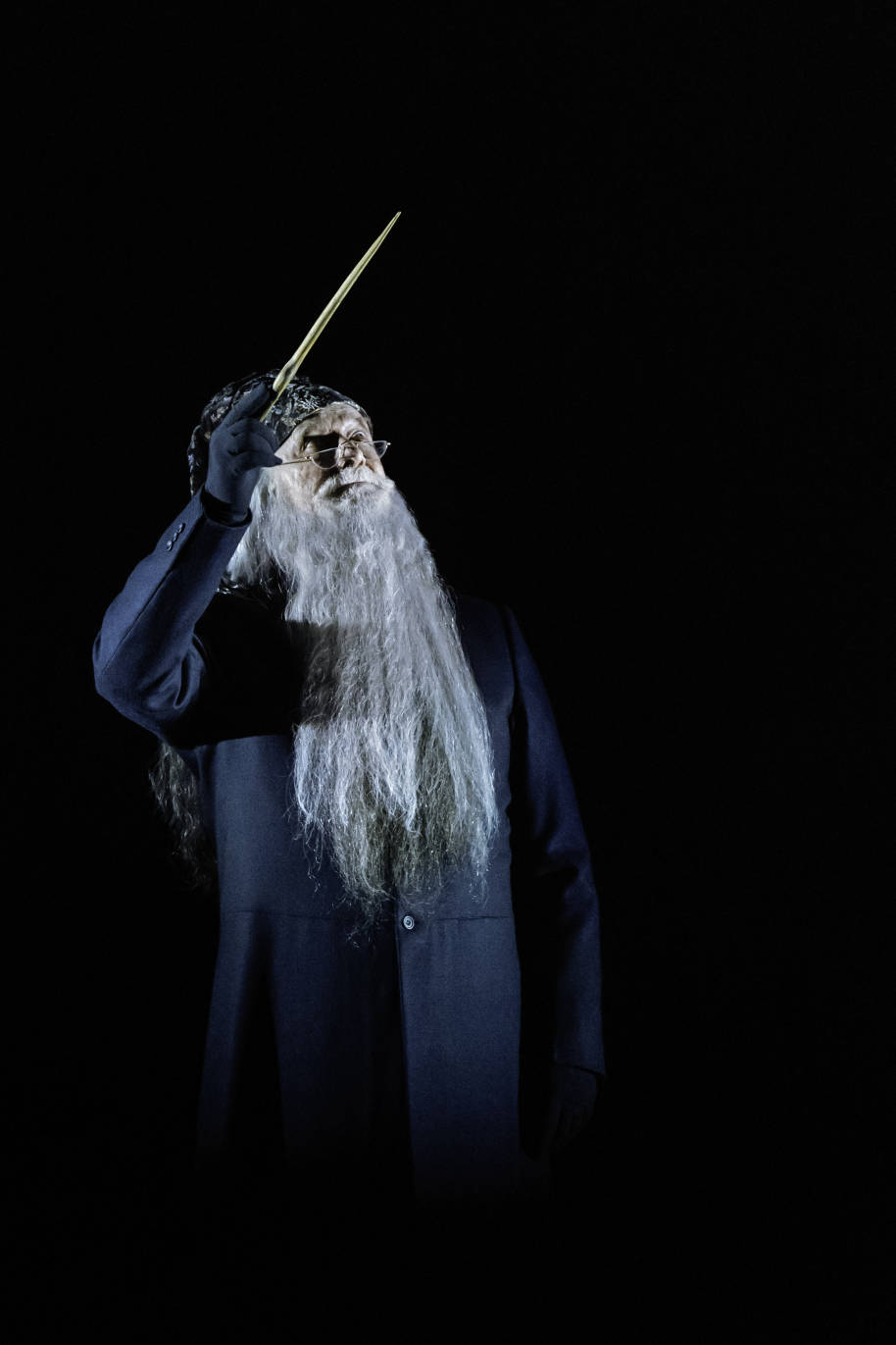 Cursed Child Broadway: Albus Dumbledore 