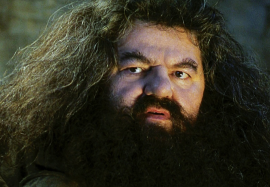 Rubeus Hagrid