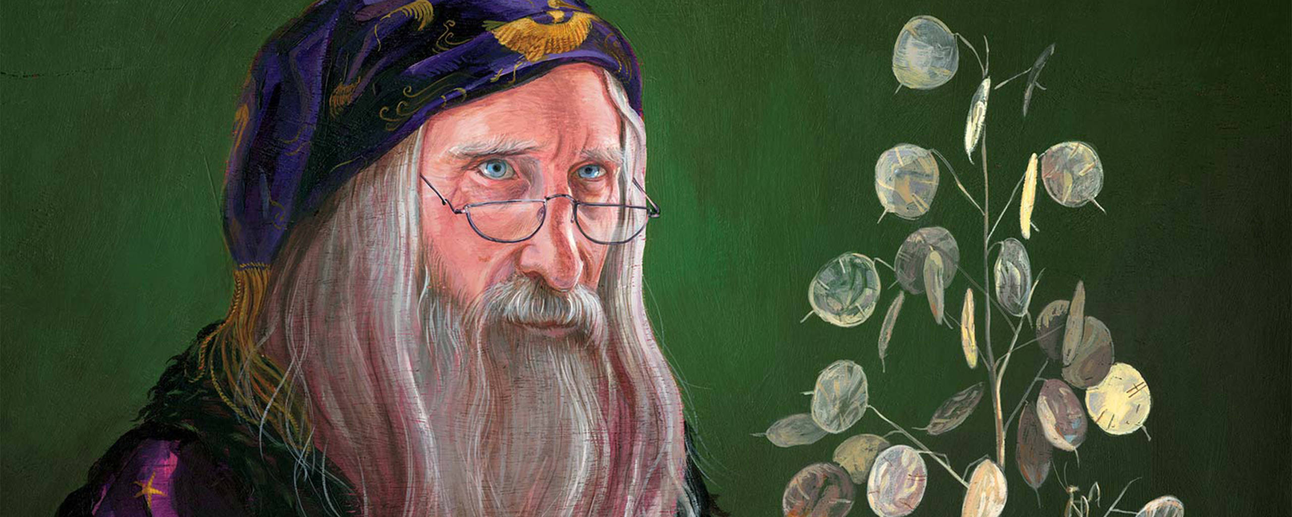 dumbledore-illustration-web-header