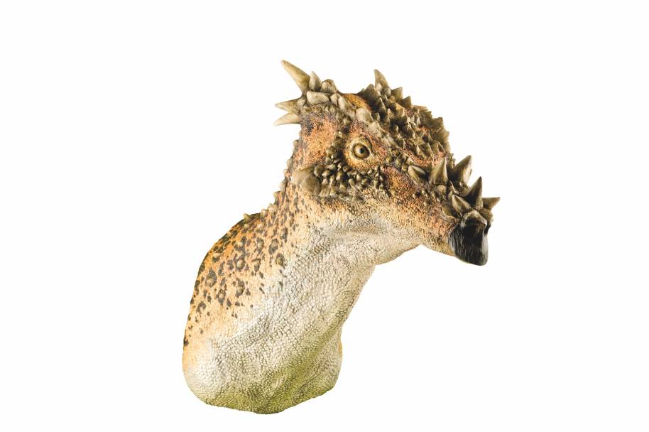 IMAGE-dracorex-hogwartsia-natural-history-museum