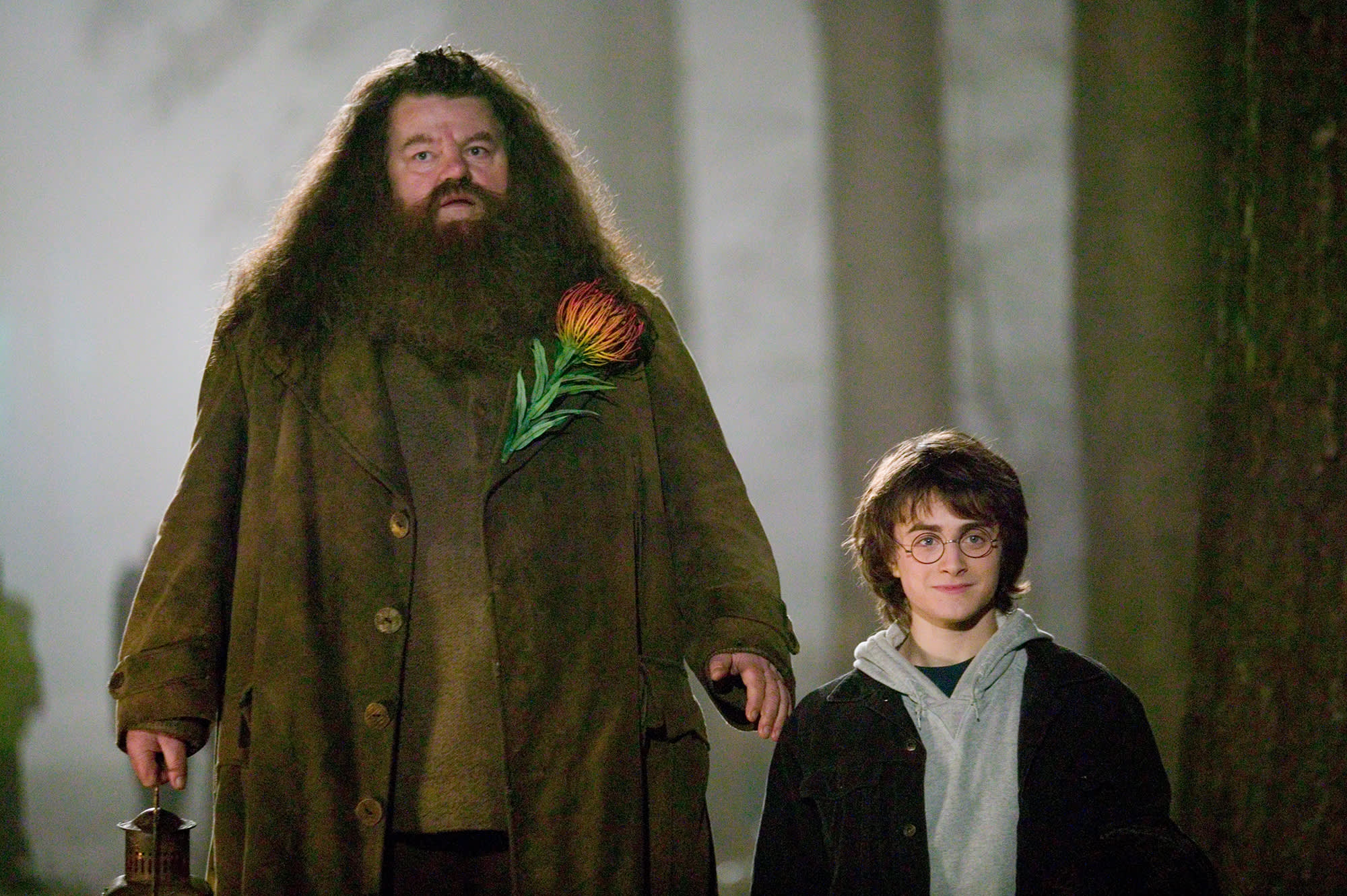 Why Hagrid was the best father figure Harry had