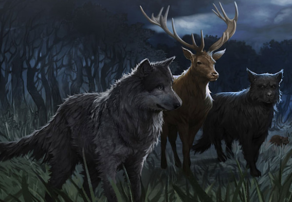 Animagi Animagus | Official Harry Potter Encyclopedia
