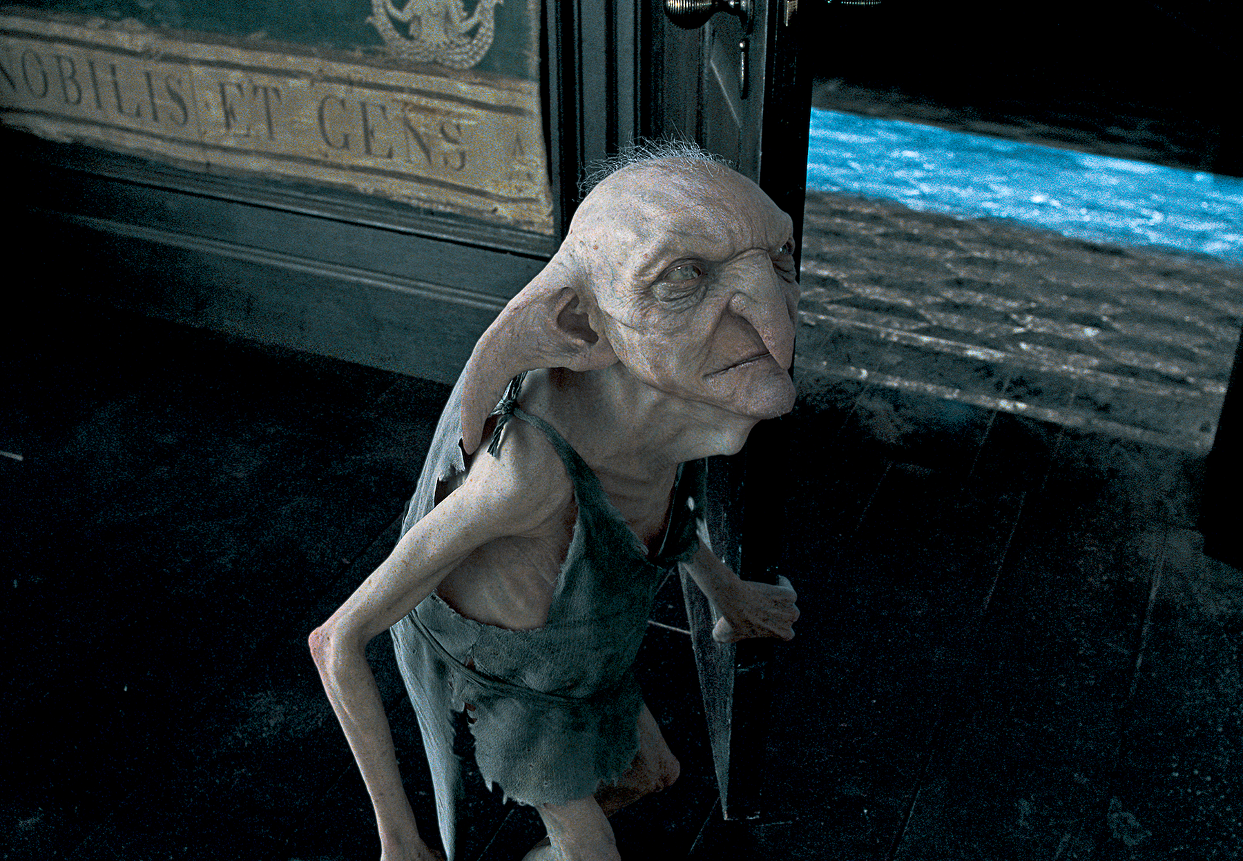 Dobby, Harry Potter Wiki