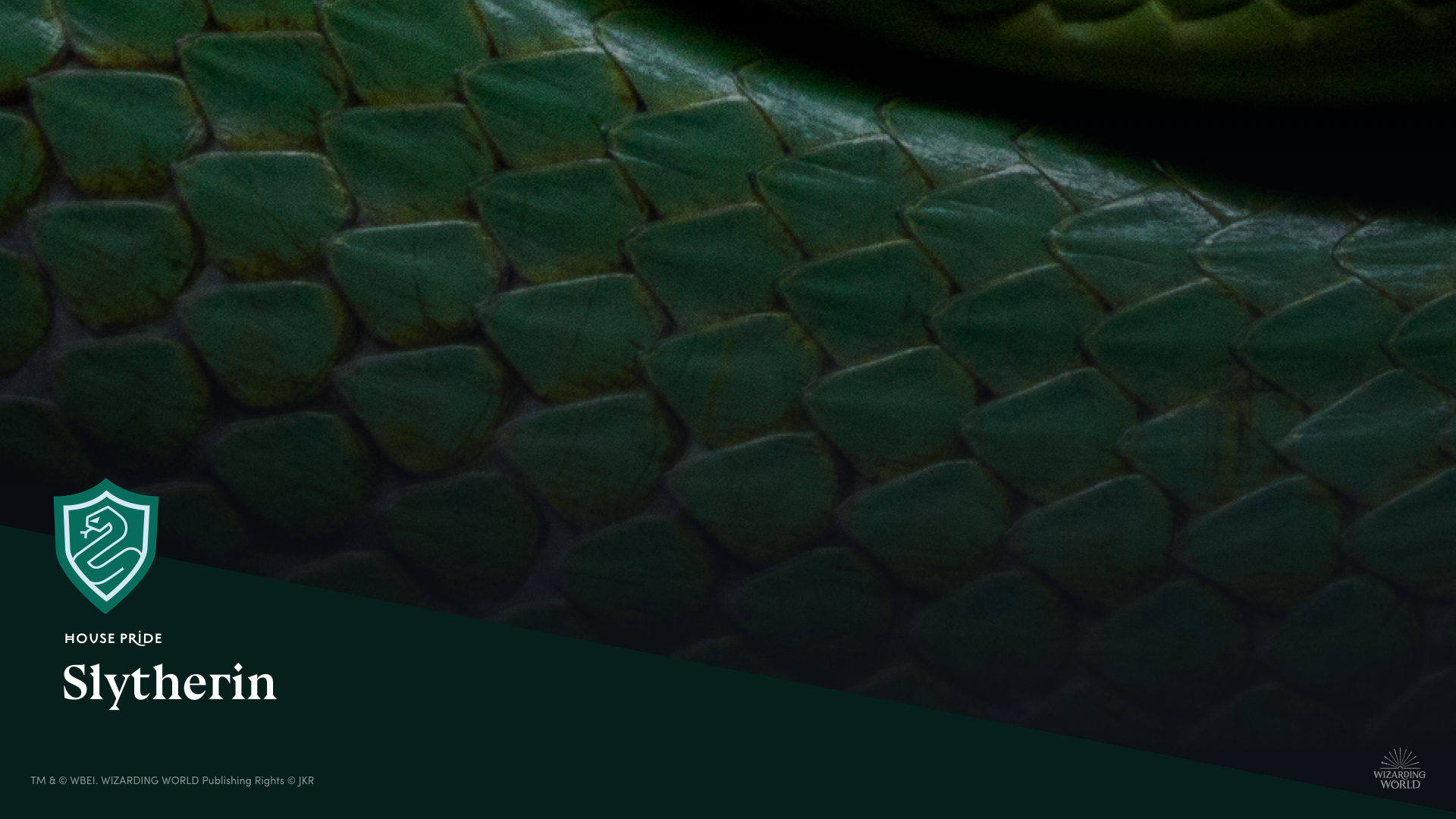 web-house-background-vidéo-serpentard