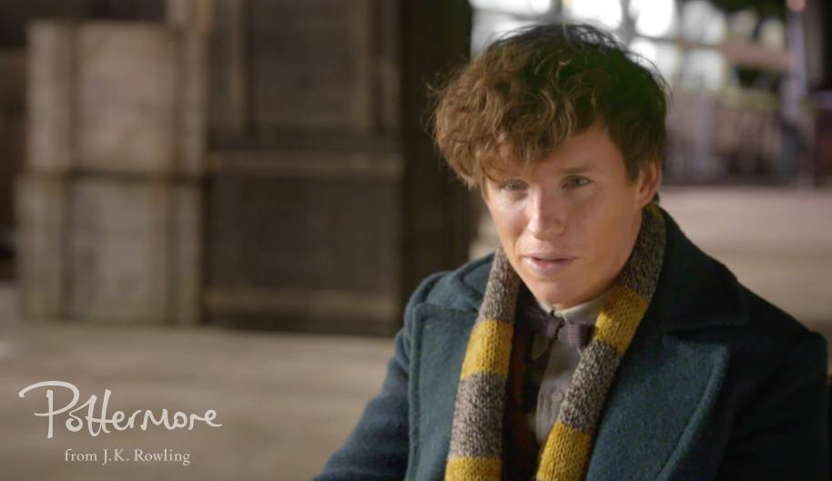 Eddie Redmayne Celebration Hufflepuff scarf