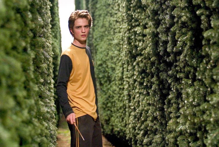 HP-F4-cedric-diggory-maze-third-triwizard-task-web-landscape