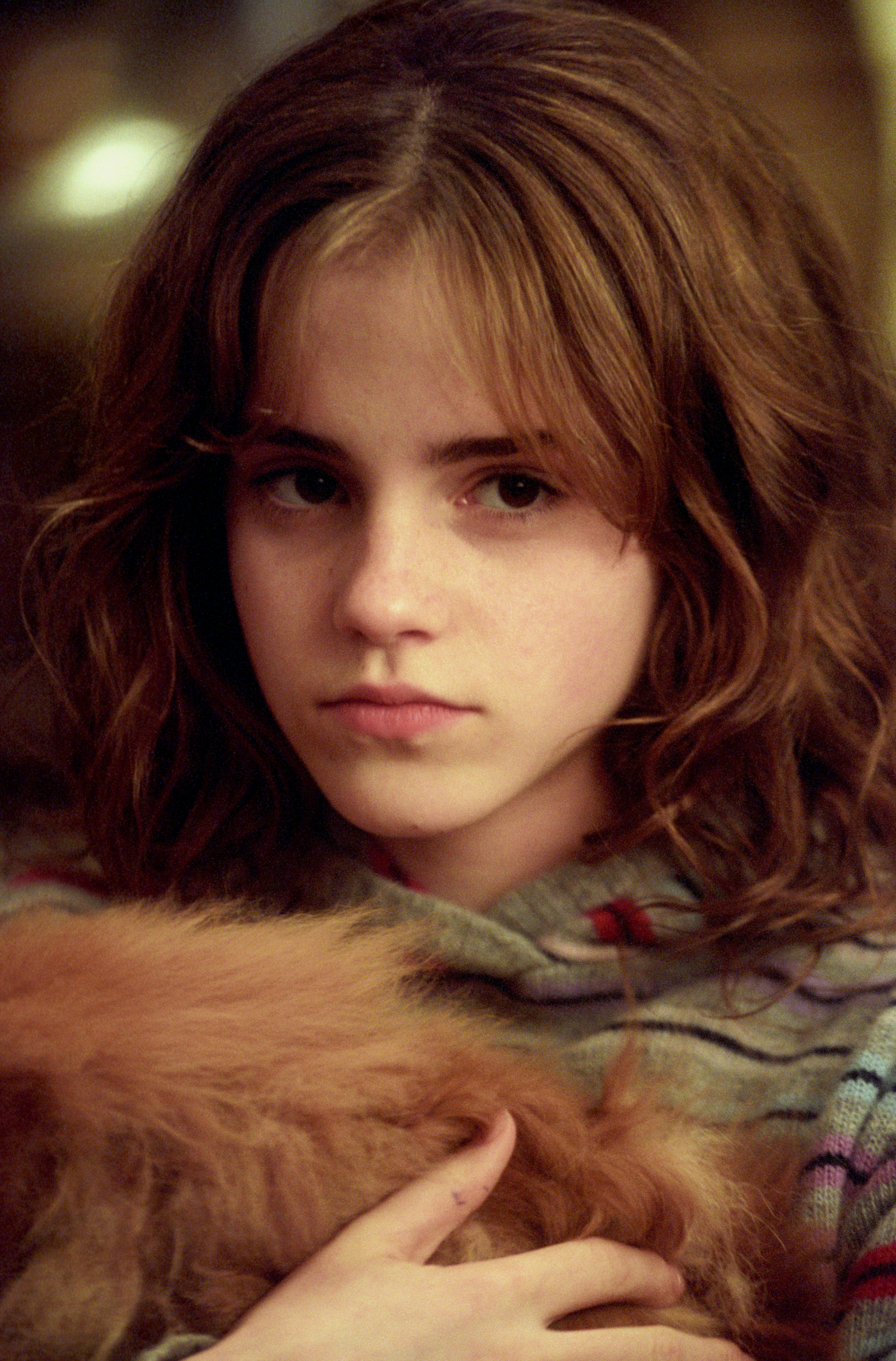 hermione granger hair deathly hallows