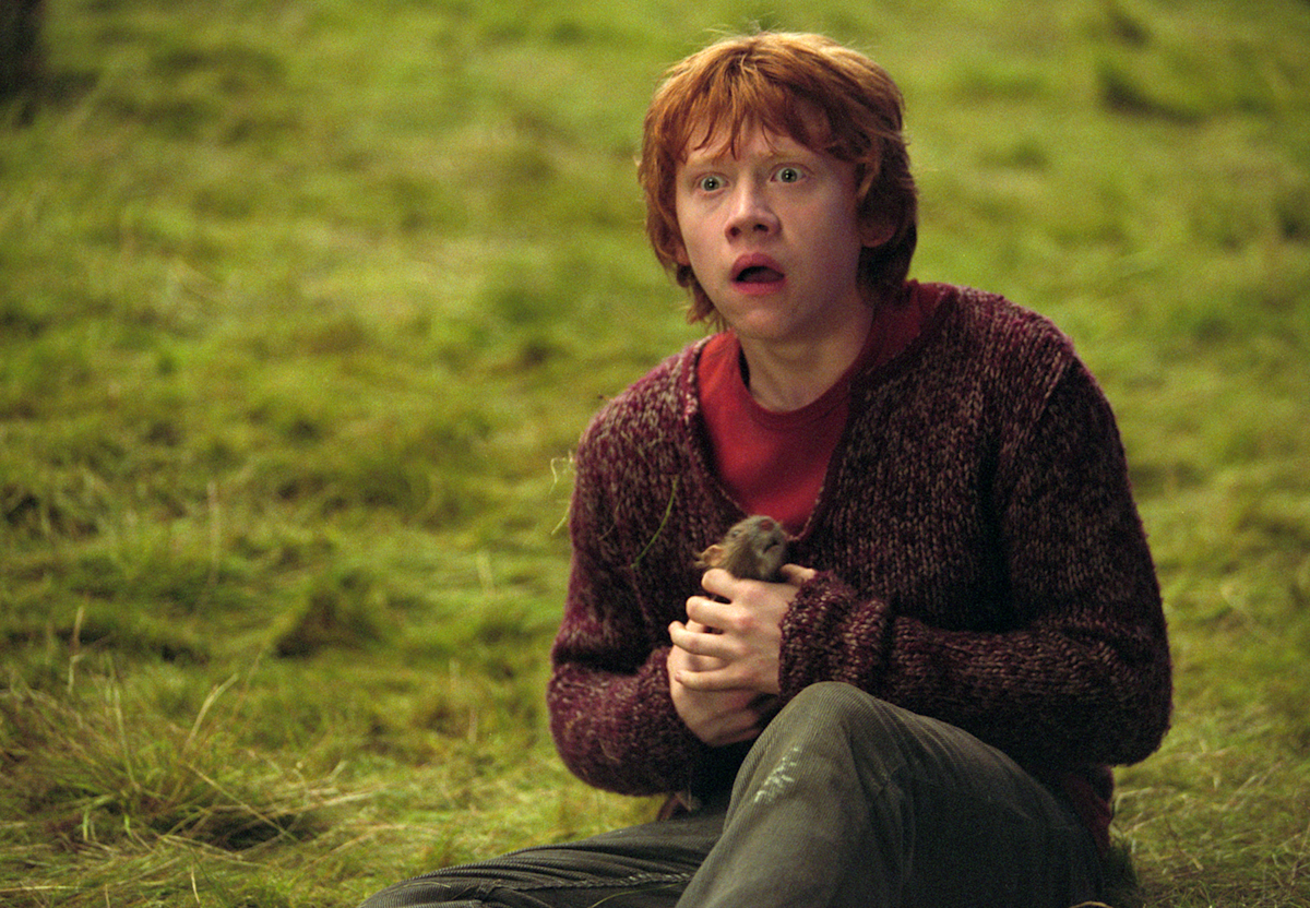 Scabbers Official Harry Potter Encyclopedia