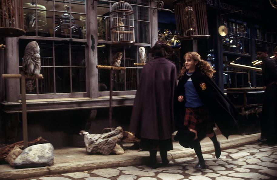 ranked-the-shops-in-diagon-alley-from-worst-to-best-wizarding-world