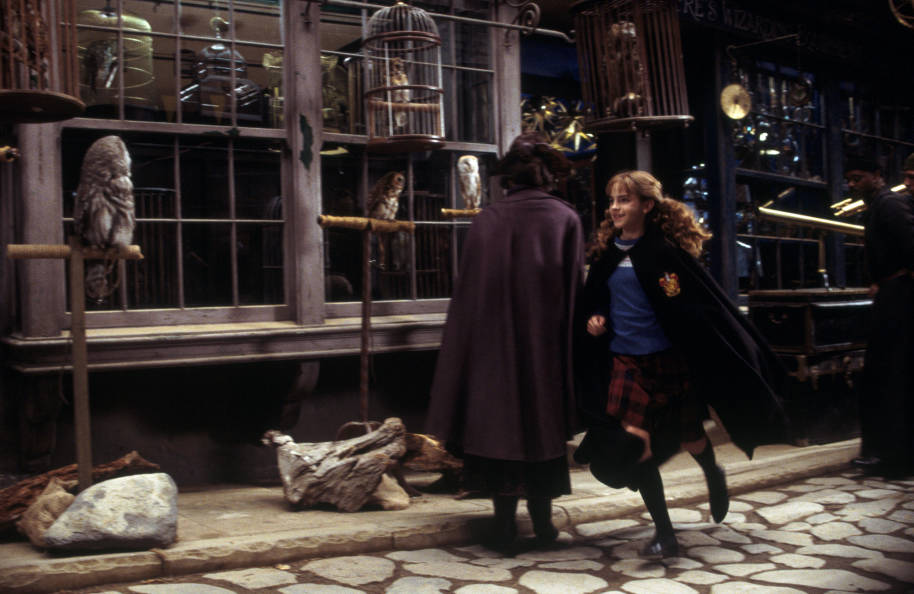 HP-F2-chamber-of-secrets-hermione-running-diagon-alley-web-landscape