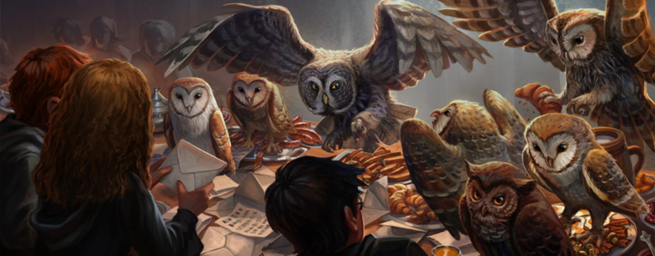 Owls Wizarding World