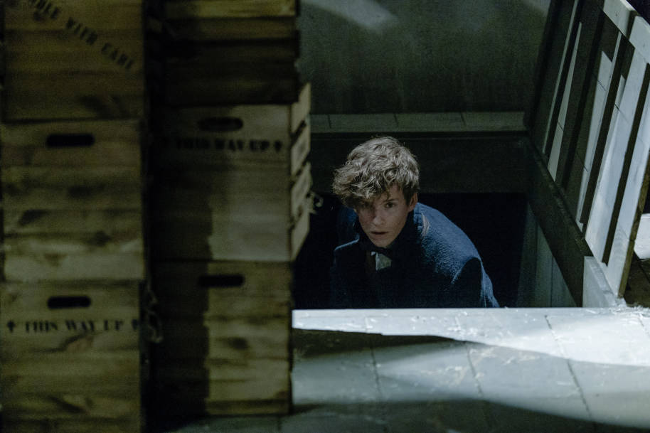 PMARCHIVE-FB WB Newt Scamander Emerges from Trapdoor 52SG8GZadiEG2EoGOOMWcG-b5