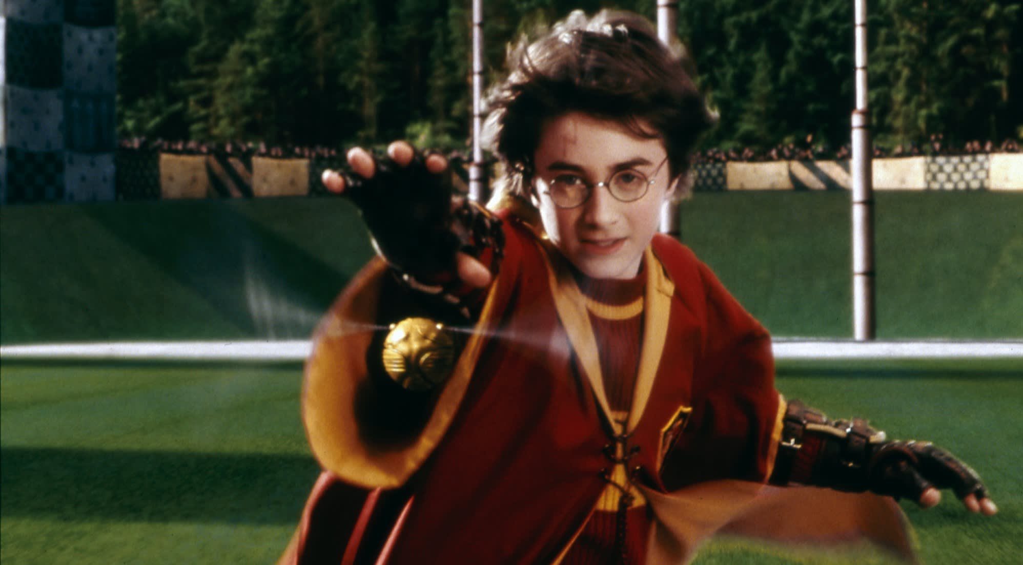 HARRY POTTER, Secrets Revealed! Quidditch