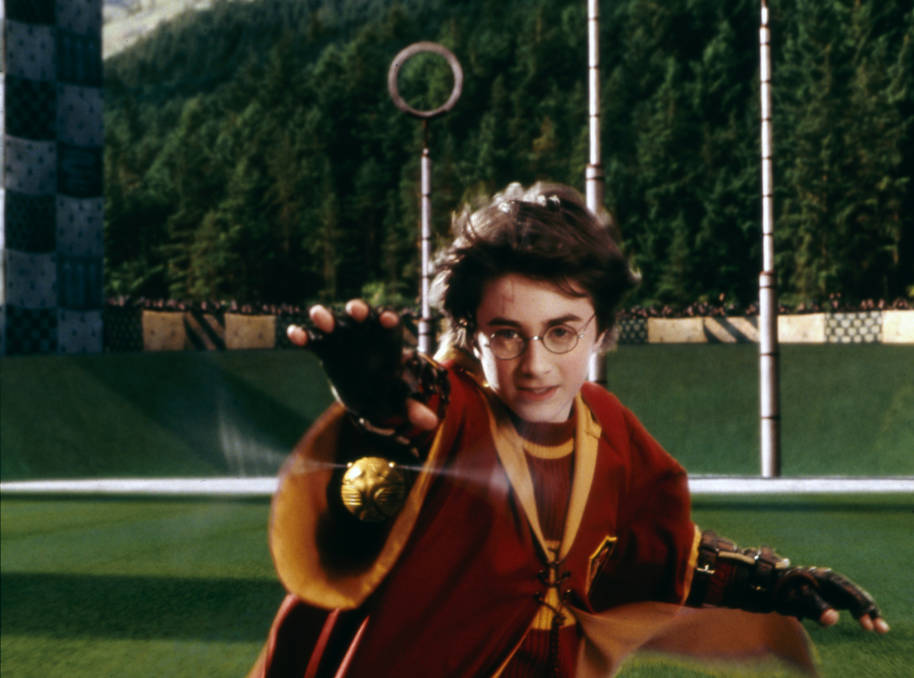 HP-F1-philosophers-stone-harry-quidditch-match-reaching-for-snitch-web-landscape