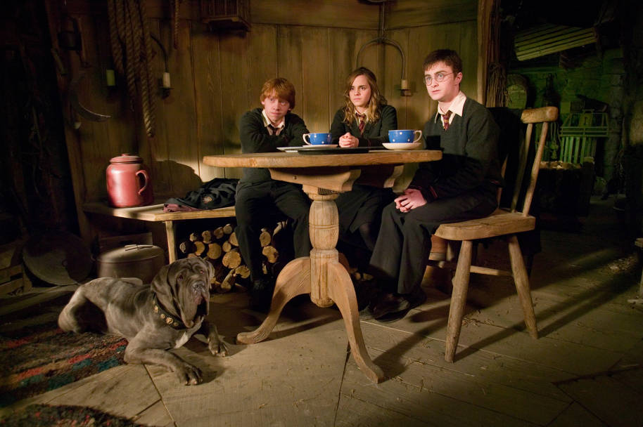 HP-F5-order-of-the-phoenix-harry-ron-hermione-fang-hagrids-hut-web-landscape