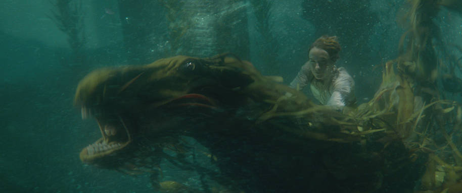 WB COG Newt Scamander Swimming with a Kelpie