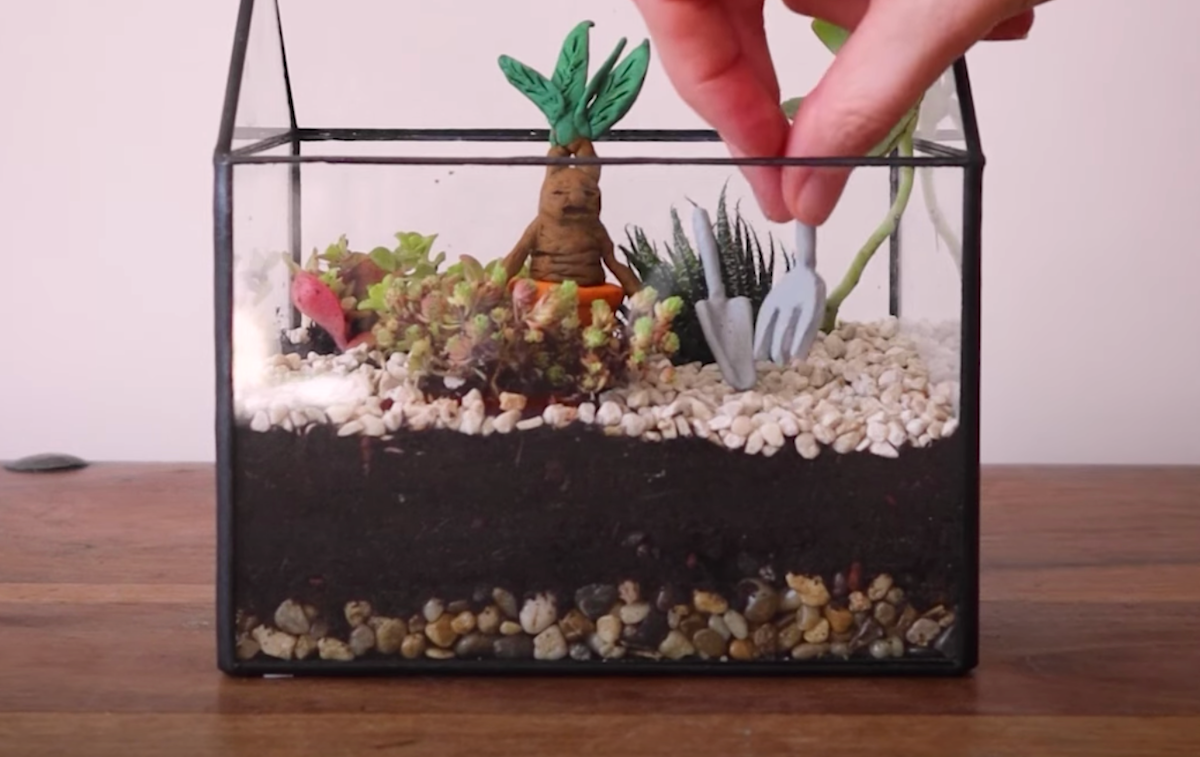 Build your own Herbology terrarium Wizarding World