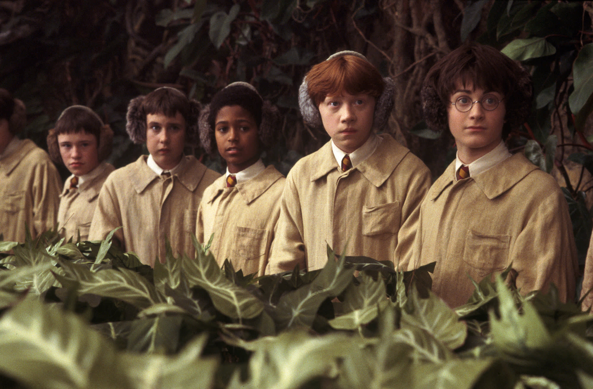 Mandragora Magical Creatures - Harry Potter