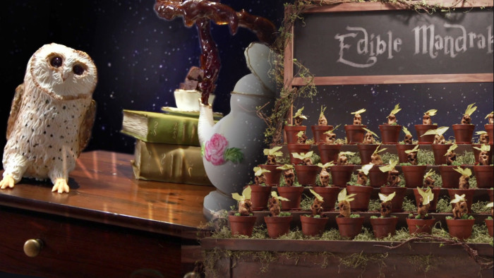 New competition show, Harry Potter: Wizards of Baking, coming soon!