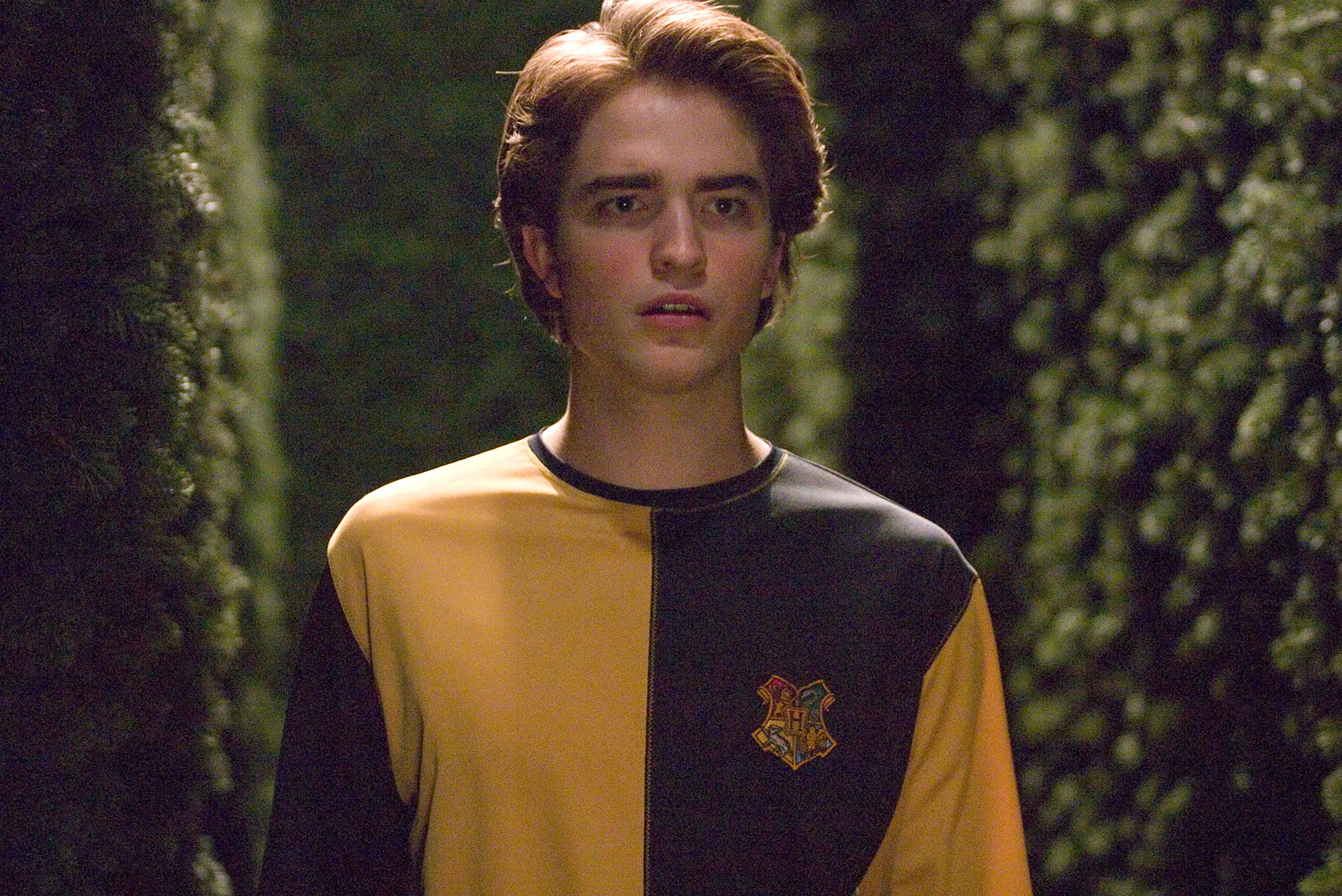 HP-F4-goblet-of-fire-cedric-final-task-maze-close-up-concerned-web-landscape