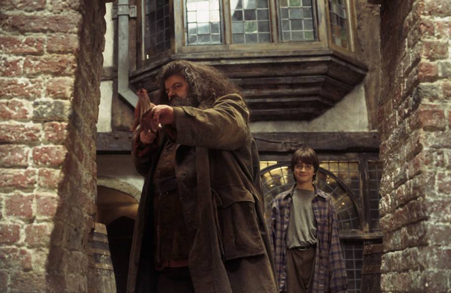 HP-F1-philosophers-stone-hagrid-harry-pink-umbrella-diagon-alley-entrance-web-landscape