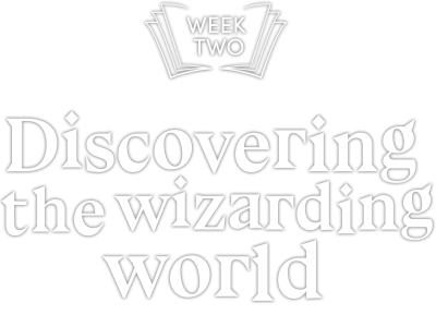 The wizarding world