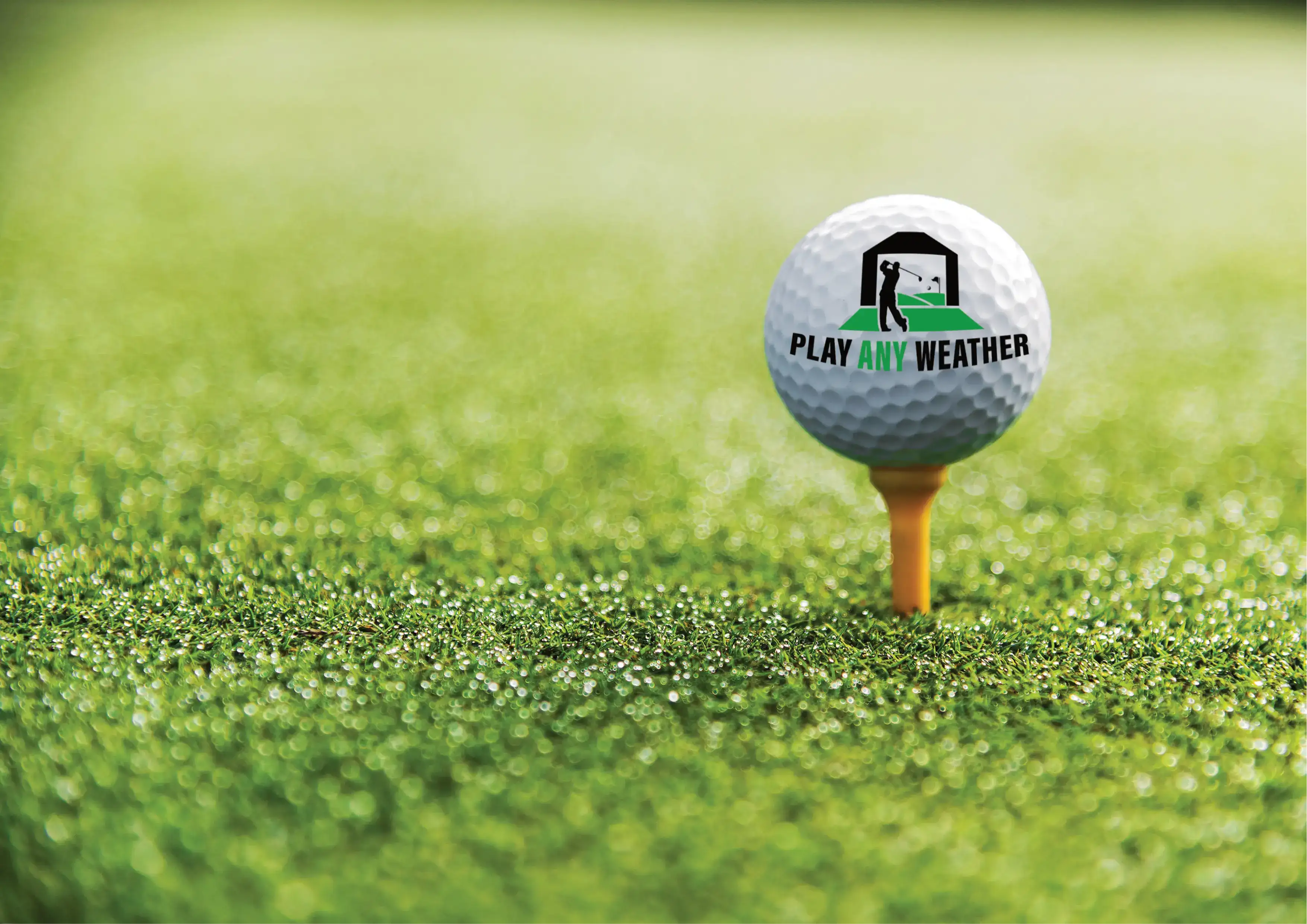 Pitch & Putt - Our Partnership with Play Any Weather Golf Simulators