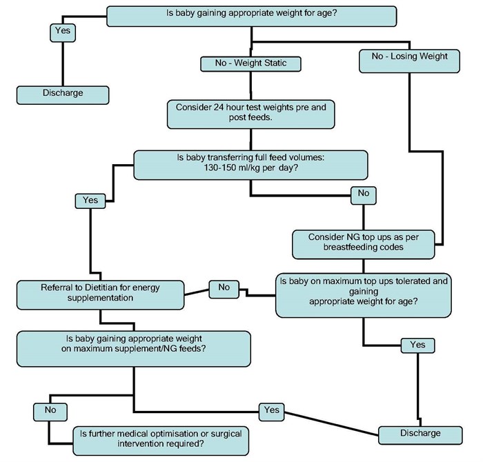 Chf Weight Gain Guidelines | Blog Dandk