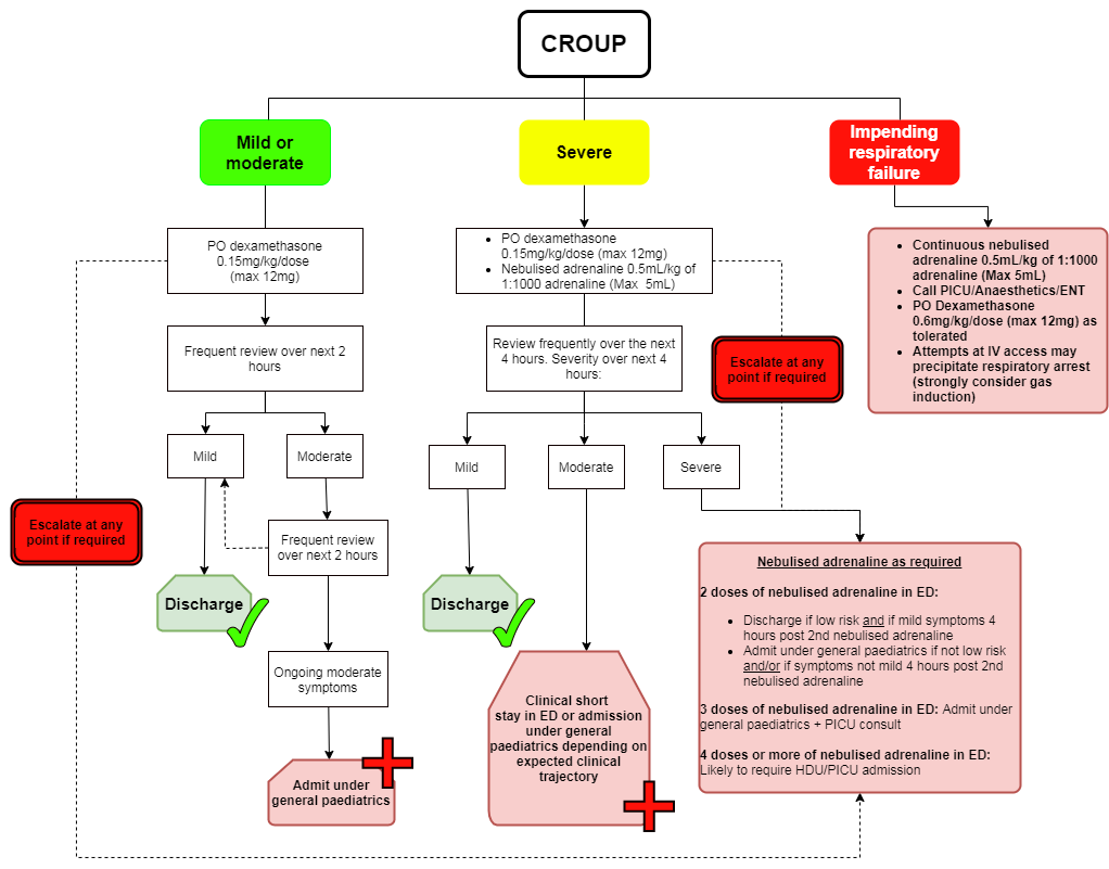 Viral croup symptoms