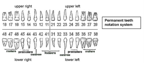 Orofacial problems