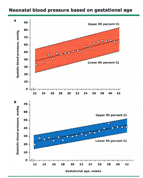 Blood pressure hypertension in neonates