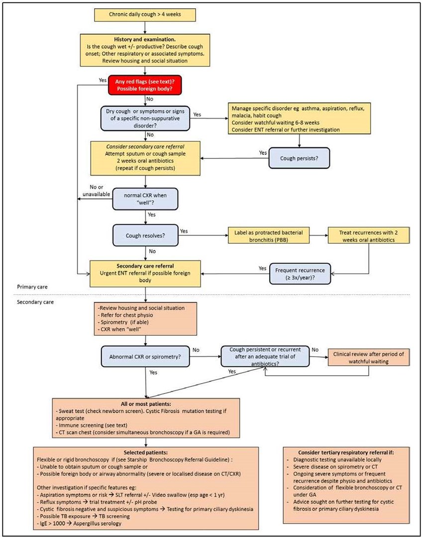 Persistent Cough: Possible Causes