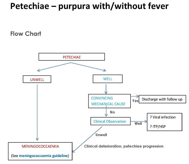 Petechiae and purpura with/without fever