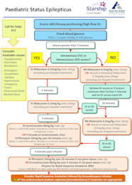 Seizures Status Epilepticus 