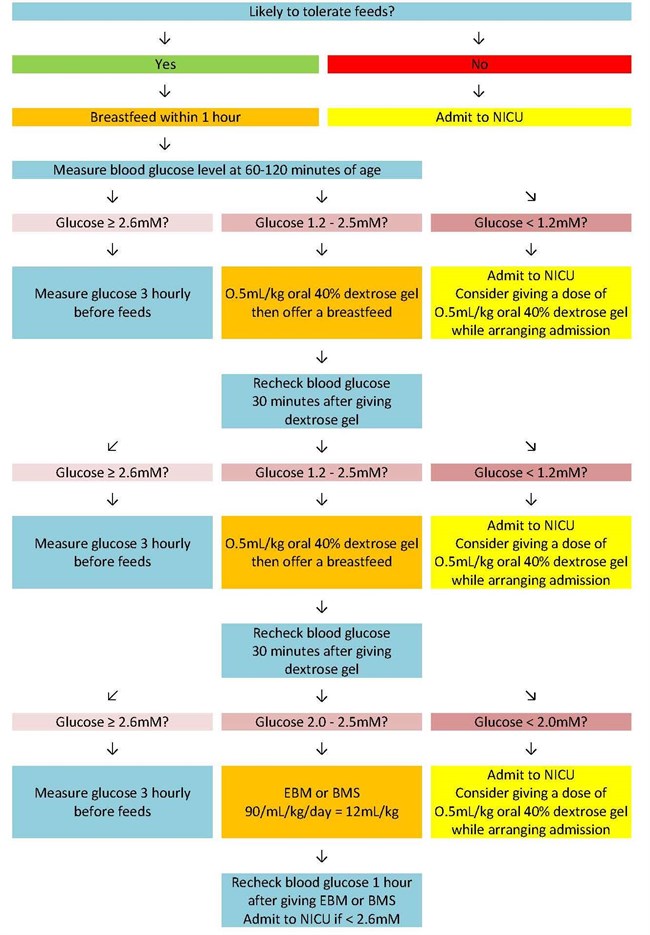 Hypoglycaemia in the neonate