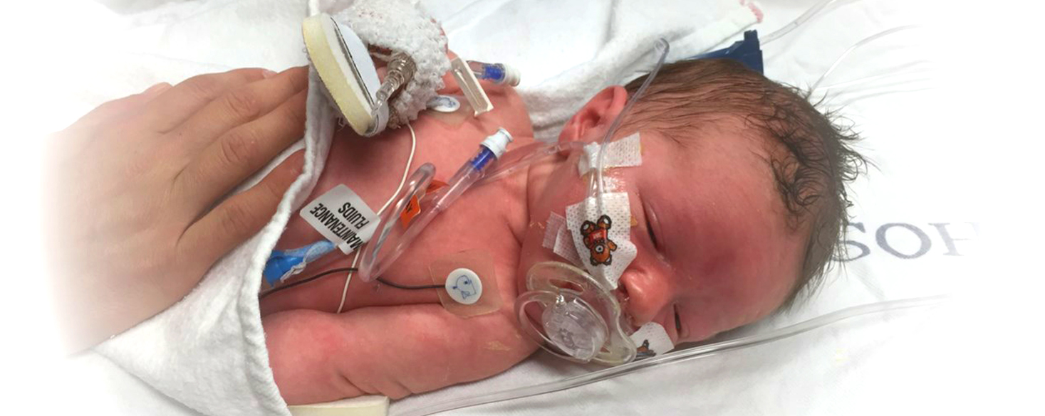 website-banner indiana Hero