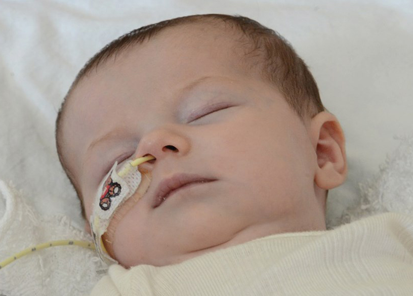 banner-image lily Hero1