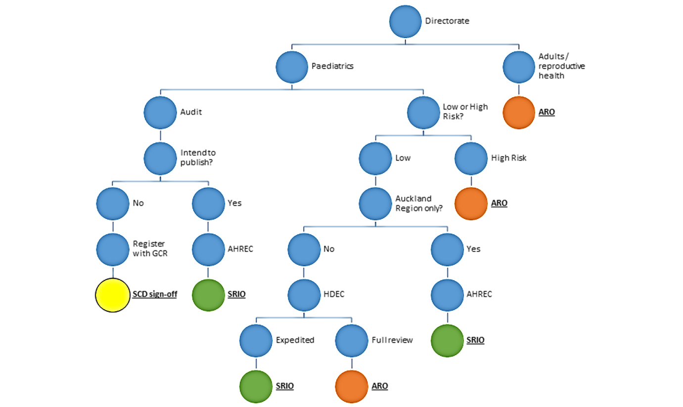 research approval pathway