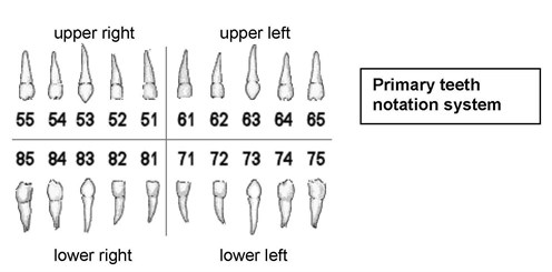 Orofacial problems