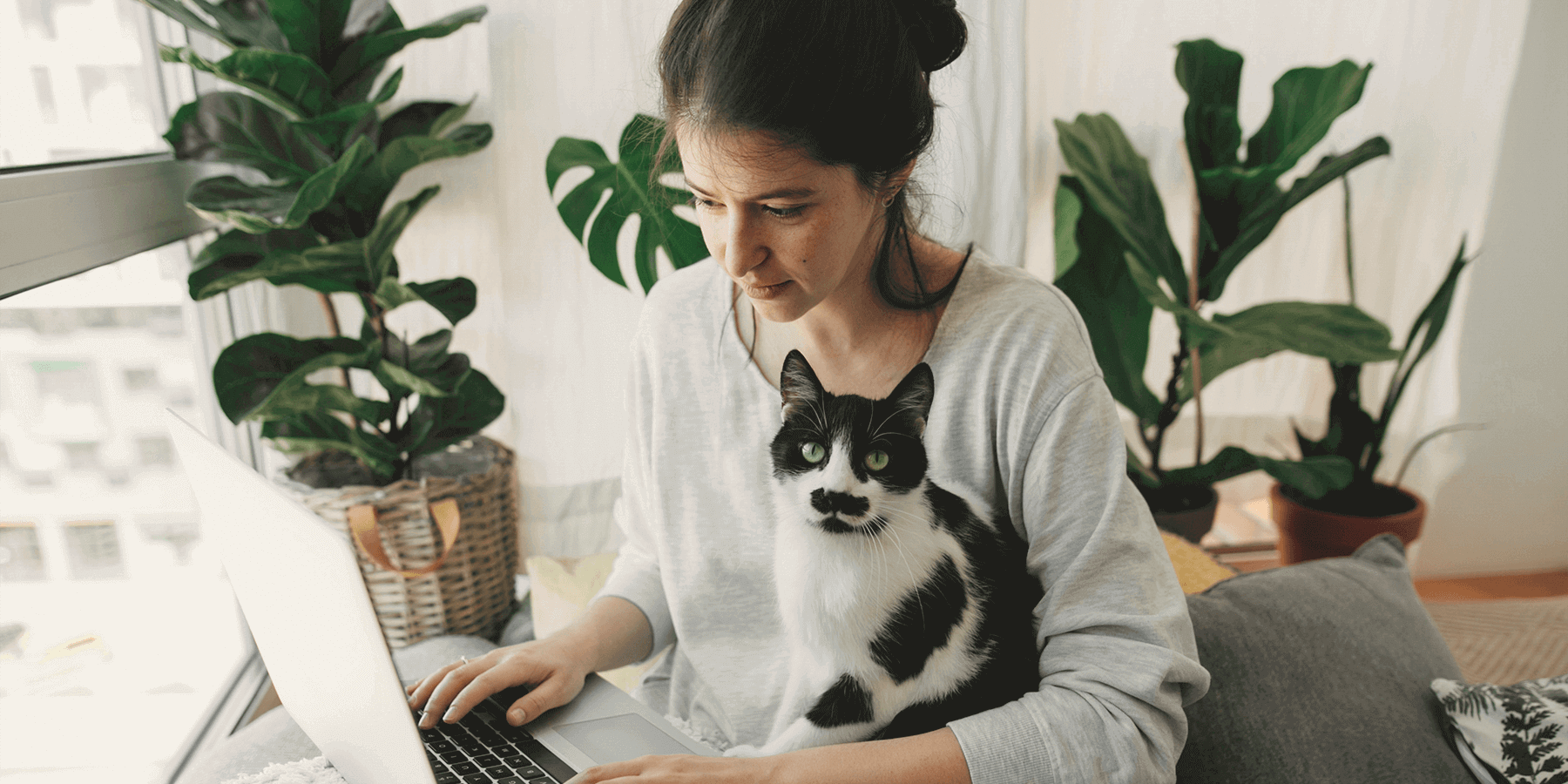 Woman with cat using laptop to research what luteinizing hormone is