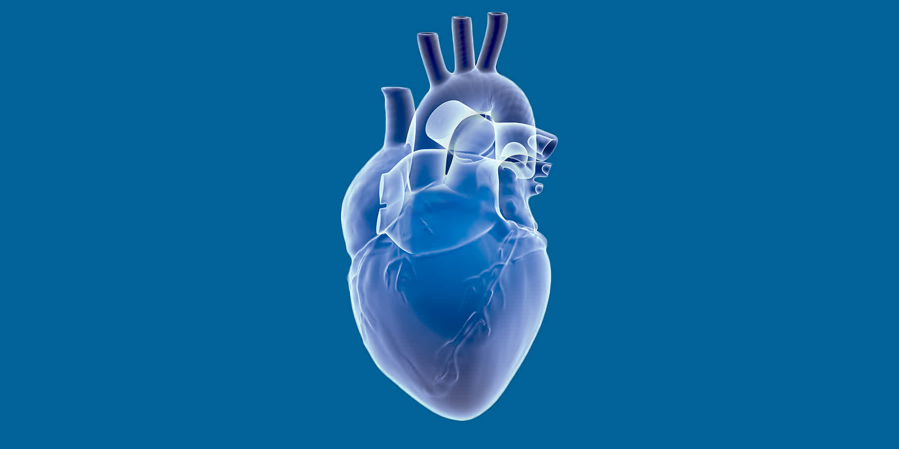 Illustration of healthy anatomical heart against a blue background